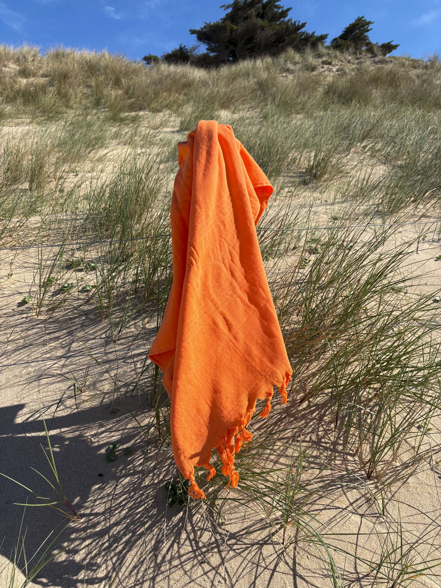 ATLANTIC ORANGE CLÉMENTINE